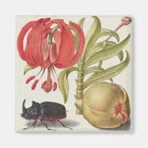 Vintage botaniska illustrationer magnet