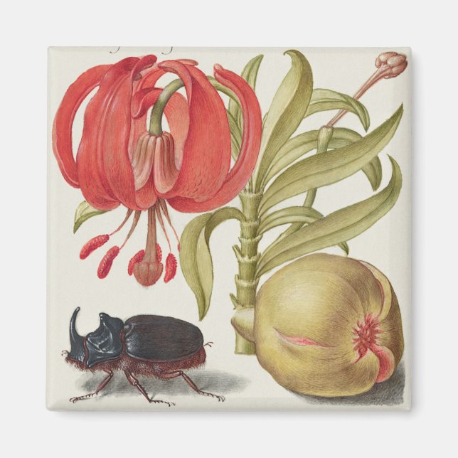 Vintage botaniska illustrationer magnet (Framsidan)