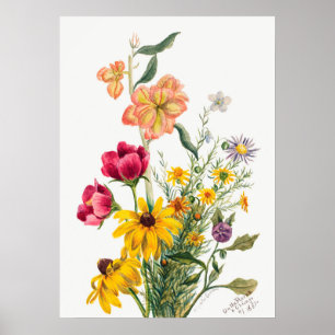 Vintage botaniska illustrationer poster