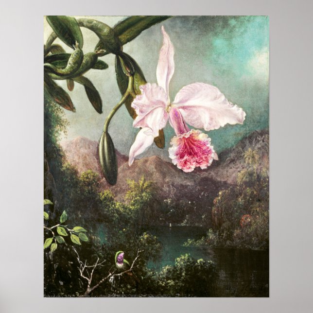 Vintage botaniska illustrationer poster (Framsidan)