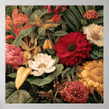 Vintage botaniska illustrationer