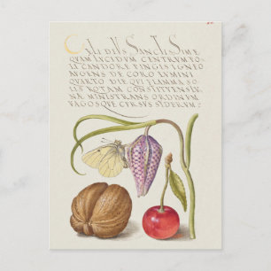 Vintage botaniska illustrationer vykort
