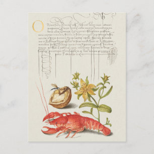 Vintage botaniska illustrationer vykort