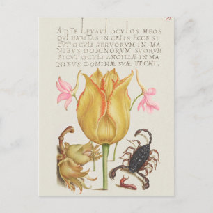 Vintage botaniska illustrationer vykort