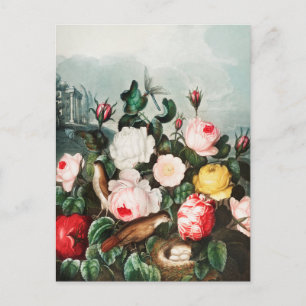 Vintage botaniska illustrationer vykort