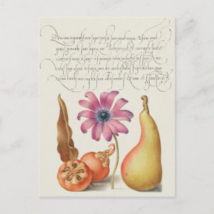 Vintage botaniska illustrationer vykort