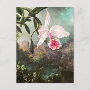 Vintage botaniska illustrationer vykort