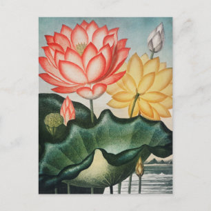 Vintage botaniska illustrationer vykort