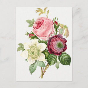 Vintage botaniska illustrationer vykort