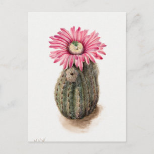 Vintage botaniska illustrationer vykort