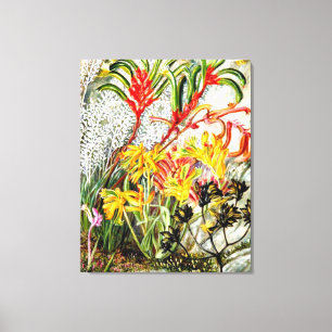 Vintage botaniska konst, Väster australiska blomm Canvastryck