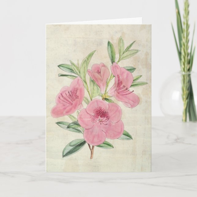 Vintage Botaniska kungens Azalea Kort (Framsida)