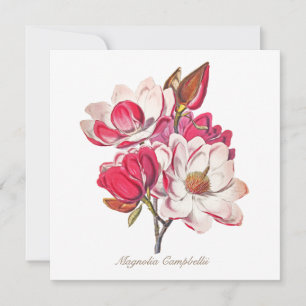 Vintage Botaniska Magnolia Rosa White Flowers