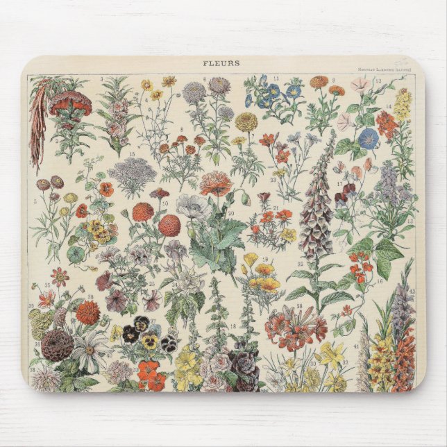 Vintage Botaniska Mönster Musmatta (Framsidan)