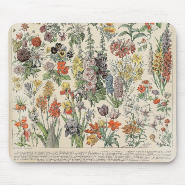 Vintage Botaniska Mönster Musmatta (Framsidan)