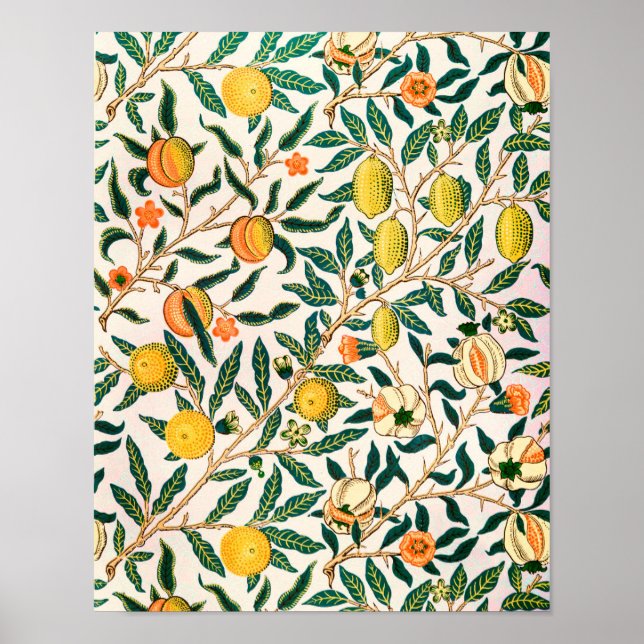 Vintage Botaniska Mönster Poster (Framsidan)