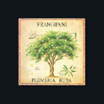 Vintage Botaniska plumeria Träd Art Deco Canvastryck<br><div class="desc">Vintage Botanical Plumeria Frangipani Träd Art Deco. Det skulle göra en underbar mur till ditt kök- eller inredningsområde.</div>