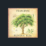 Vintage Botaniska plumeria Träd Art Deco Canvastryck<br><div class="desc">Vintage Botanical Plumeria Frangipani Träd Art Deco. Det skulle göra en underbar mur till ditt kök- eller inredningsområde.</div>
