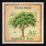 Vintage Botaniska plumeria Träd Art Deco Poster<br><div class="desc">Vintage Botanical Plumeria Frangipani Träd Art Deco-utskrift. När du ramat,  skulle det vara ett fint väggdeg för ditt kök- eller inredningsområde.</div>