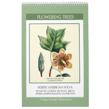 Vintage Botaniska Redoute Blommande Träd 2027