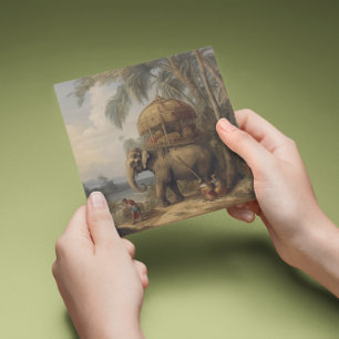Vintage botaniska scen elefant med howdah också inbjudningar