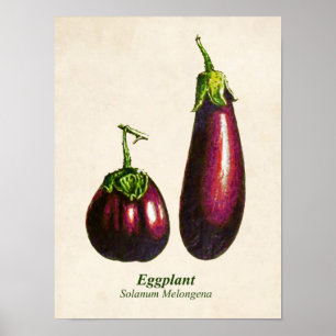 Vintage botaniska sjukdomar, påsväxter poster