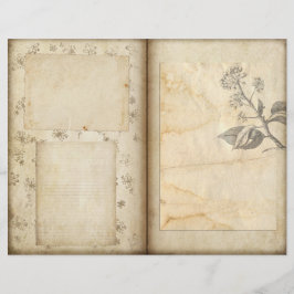 Vintage Botaniska trädgårdsskrapbok Journal Papper