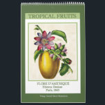 Vintage Botaniska tropiska frukter 2025 Kalender<br><div class="desc">Tolvmånaderskalender för väggar med botaniska illustrationer av tropiska frukter från Flore d'Ame'rique,  publicerade i Paris 1843. Digitalt rengjorda och förstärkta antika bilder omfattar passionsfrukt,  starfrukt,  ananas och guava.</div>