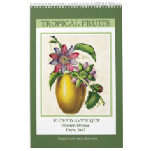 Vintage Botaniska Tropiska Frukter 2027