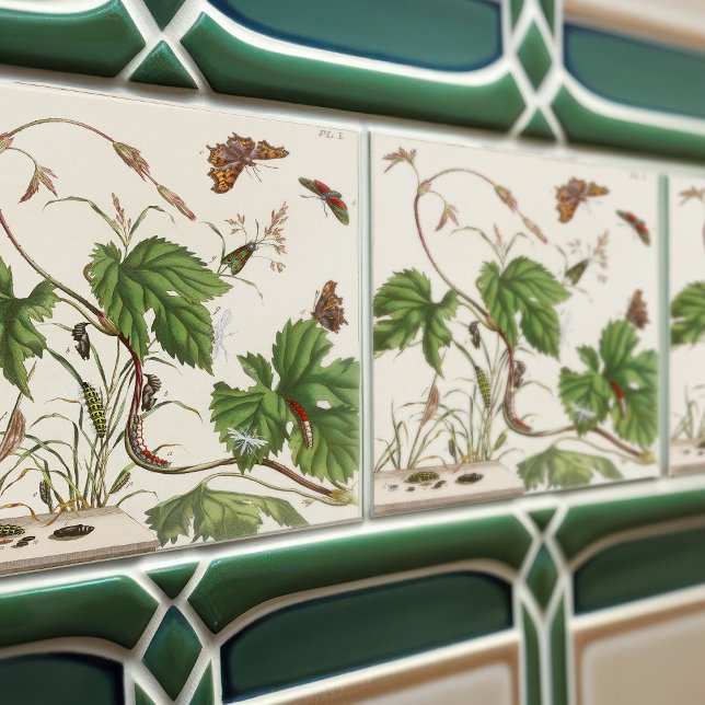 Vintage Botaniska växter och Insekter atlas Kakelplatta (Skapare uppladdad)