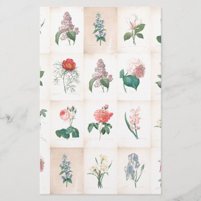 Vintage botaniskt av Redoute Brevpapper (Framsida)