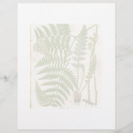Vintage Botaniskt blad - Fern