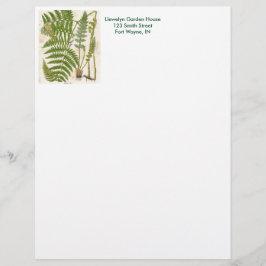 Vintage Botaniskt blad - Fern Brevhuvud