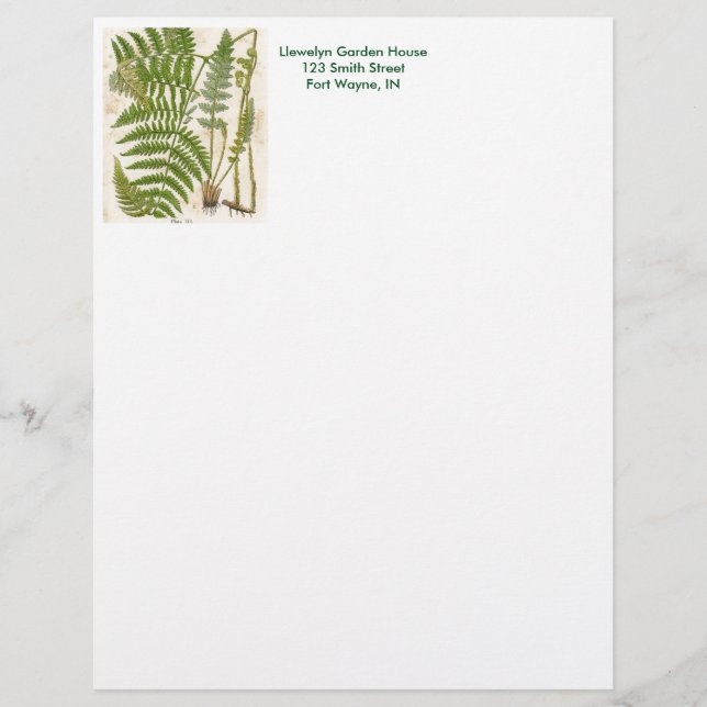 Vintage Botaniskt blad - Fern Brevhuvud (Framsida)