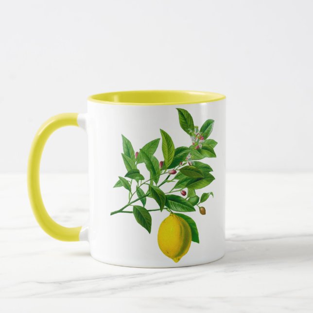 Vintage botaniskt citronillustration mugg (Vänster)