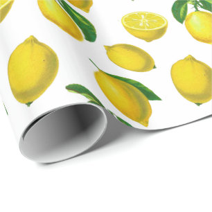 Vintage Botaniskt citronutskrift Presentpapper