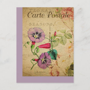 Vintage Botaniskt Fransk efter kort morgon Glory