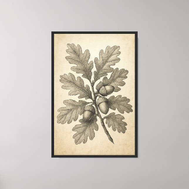 Vintage Botaniskt gravstenar av Oak Lövs Canvastryck (Framsida)
