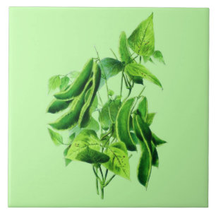 Vintage botaniskt Illustration, bivin Kakelplatta