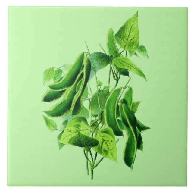 Vintage botaniskt Illustration, bivin Kakelplatta (Framsidan)