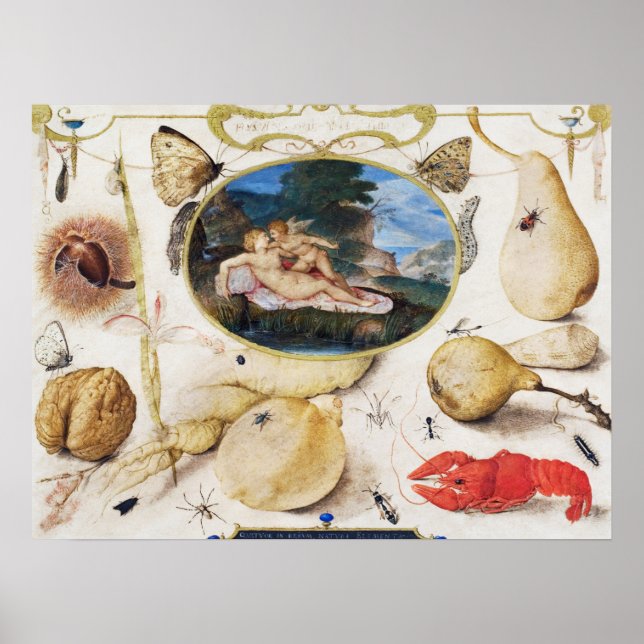 Vintage Botaniskt illustration Poster (Framsidan)