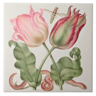 Vintage Botaniskt Kakelplatta