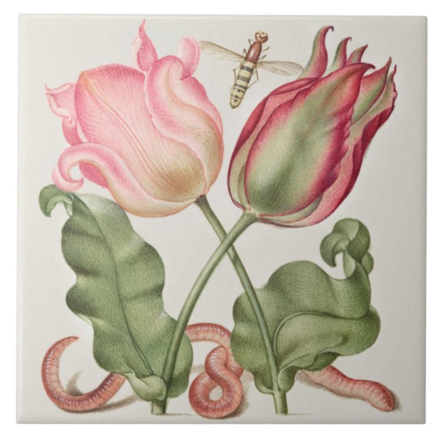 Vintage Botaniskt Kakelplatta (Framsidan)
