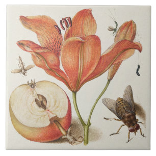 Vintage Botaniskt Kakelplatta