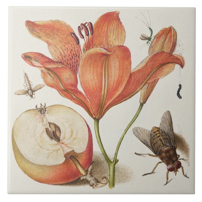 Vintage Botaniskt Kakelplatta (Framsidan)