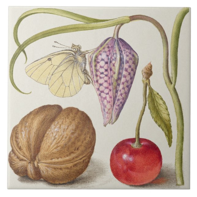 Vintage Botaniskt keramiskt plattstål Kakelplatta (Framsidan)
