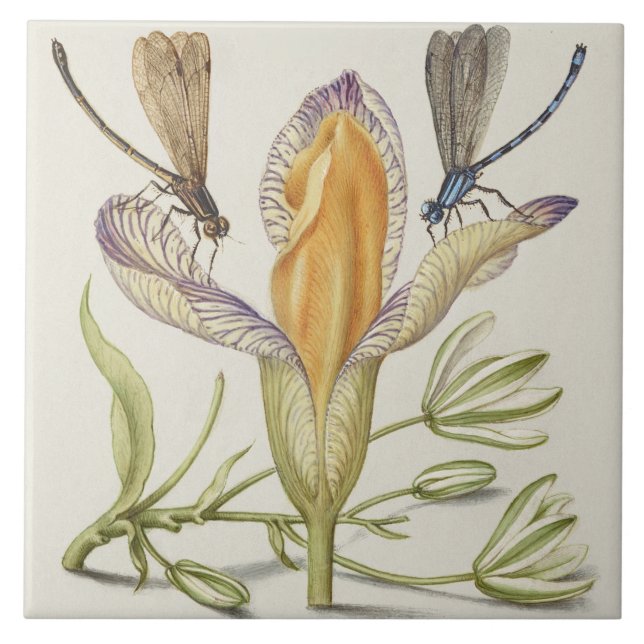 Vintage Botaniskt keramiskt plattstål Kakelplatta (Framsidan)