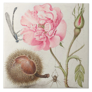 Vintage Botaniskt keramiskt plattstål Kakelplatta