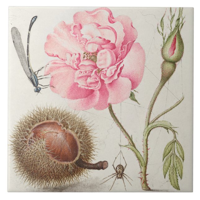 Vintage Botaniskt keramiskt plattstål Kakelplatta (Framsidan)
