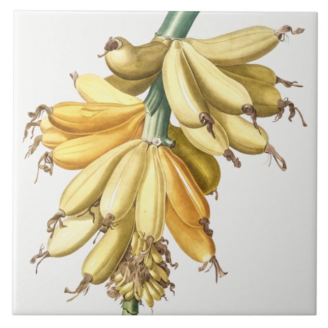 Vintage Botaniskt keramiskt plattstål Kakelplatta (Framsidan)